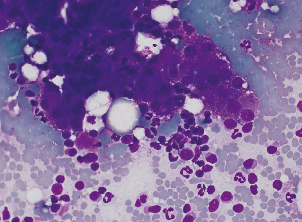 （2013）猫肝脏疾病