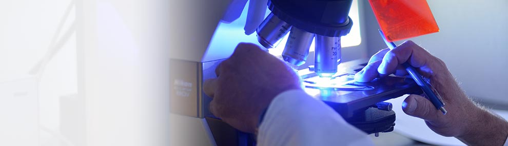 组织病理学与细胞学