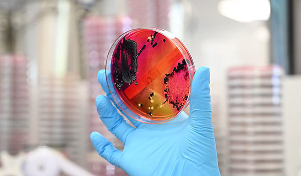 微生物学与寄生虫学