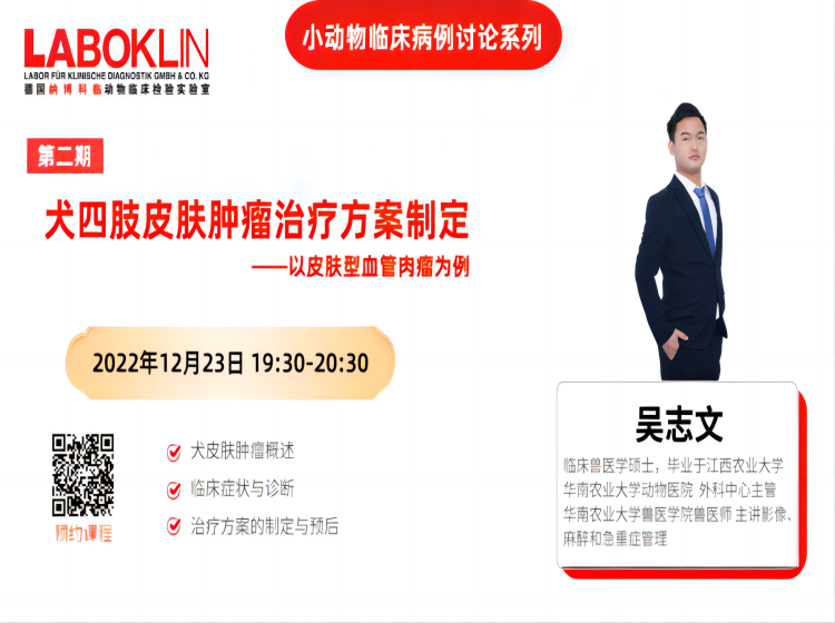 犬四肢皮肤肿瘤治疗方案制定 ——以皮肤型血管肉瘤为例