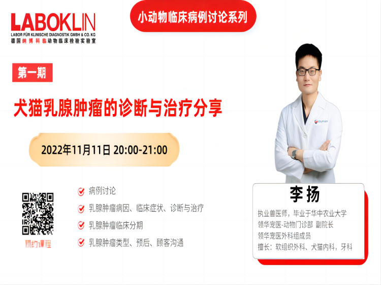 犬猫乳腺肿瘤的诊断与治疗分享