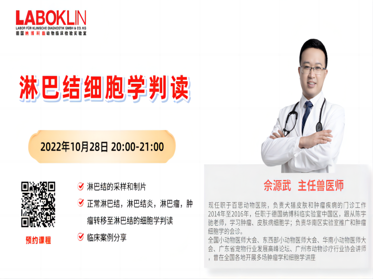 淋巴结细胞学判读