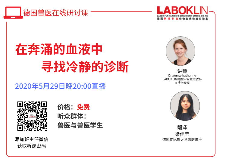 犬白血病鉴别诊断