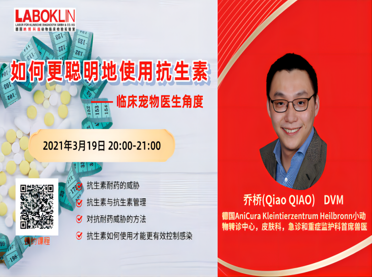 如何更聪明地使用抗生素