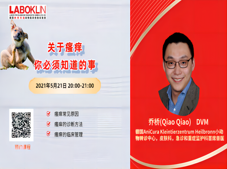 关于瘙痒，你必须知道的事