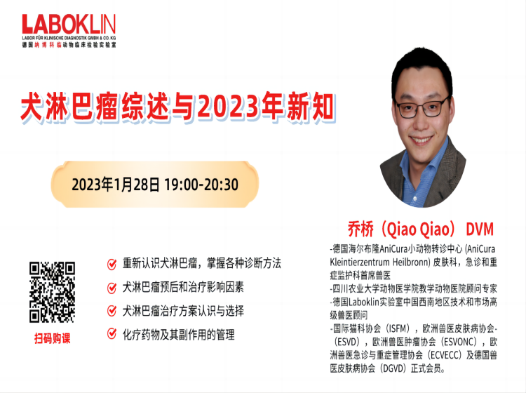 犬淋巴瘤综述与2023年新知